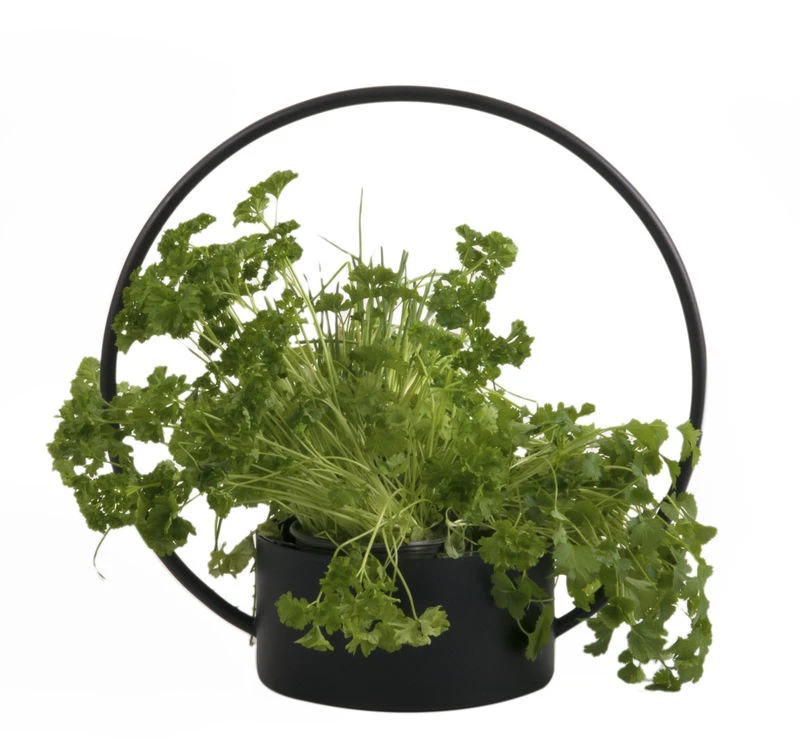 O Medium Basket - / Basket - Ø 35 X H 34 Cm - XL Boom