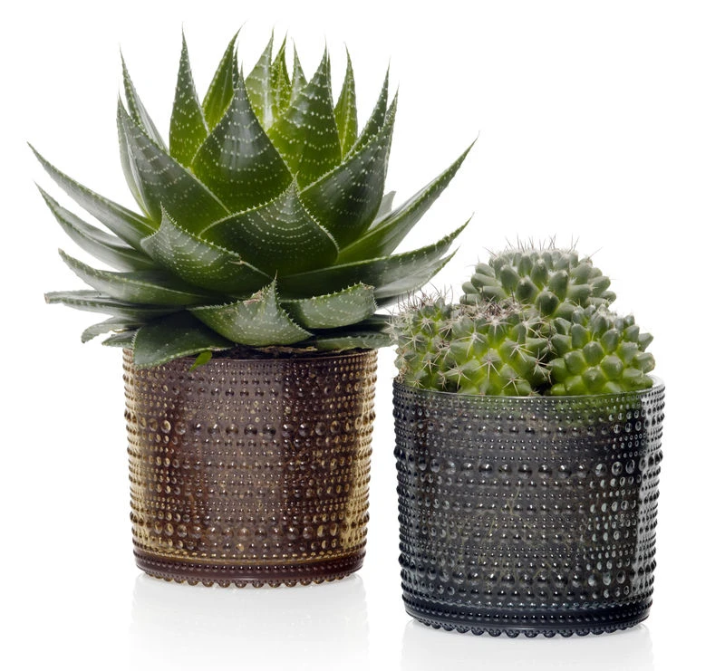 Kastehelmi Box - Ø 11,6 Cm - Iittala - Image 5