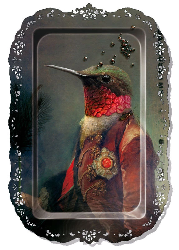 Ambroise Tray - Frame - Ibride