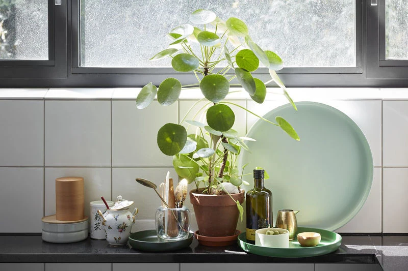 Trays Tray - / Set Of 3 - Ø 40 Cm / ABS - Vitra - Image 2